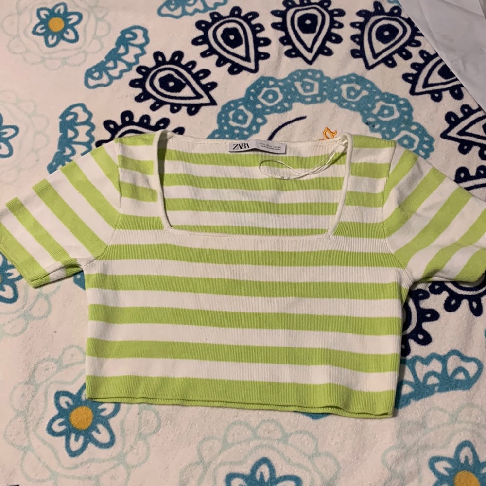 Zara stripe crop top